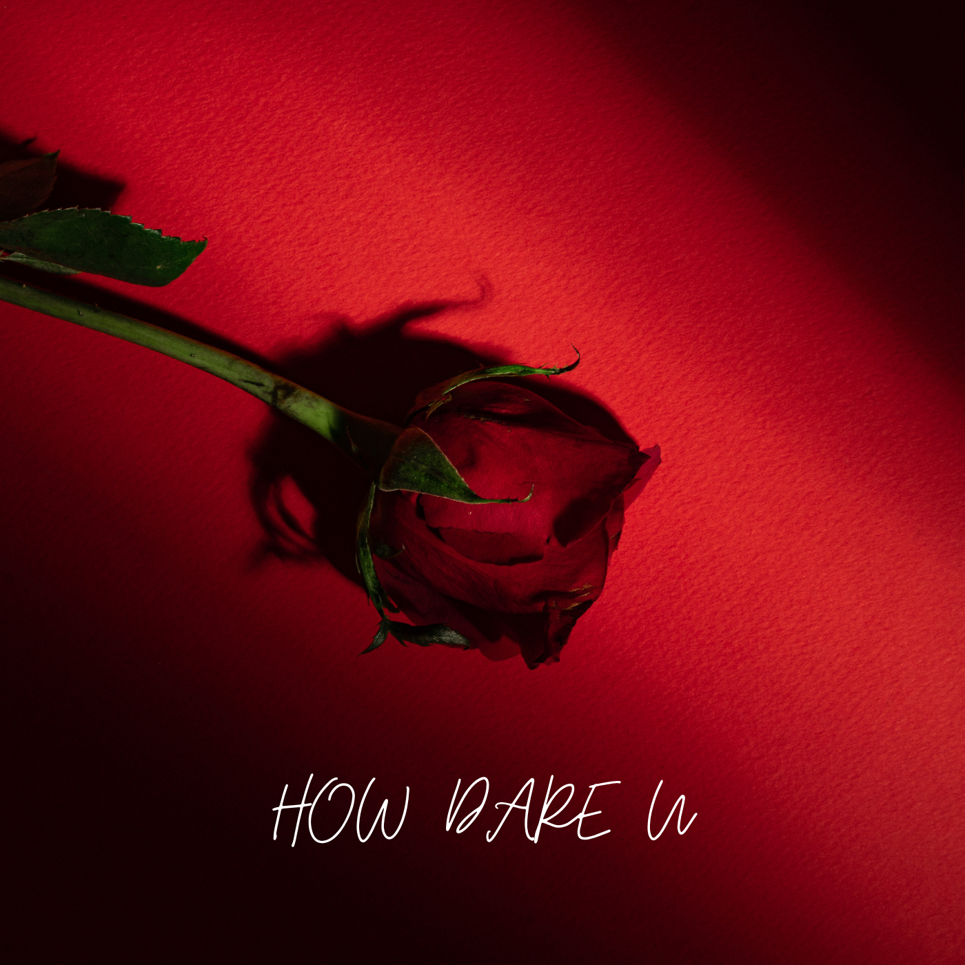 How Dare U by Nyla Dream